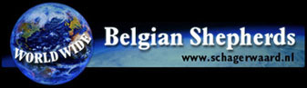 [World Wide Belgian Shepherd Links]