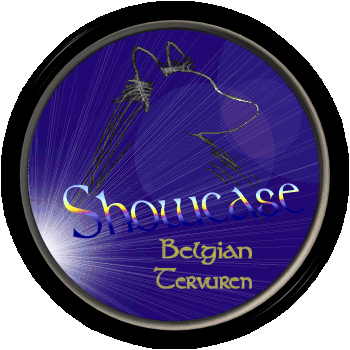 [Logo]